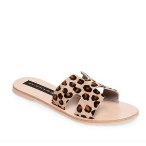 Steve Madden Greece Leopard Sandal